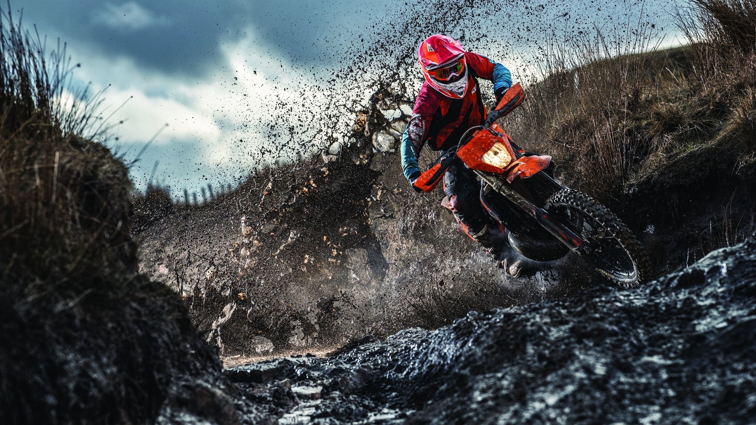 FaZe有望带动LCS娱乐化转型，faze col